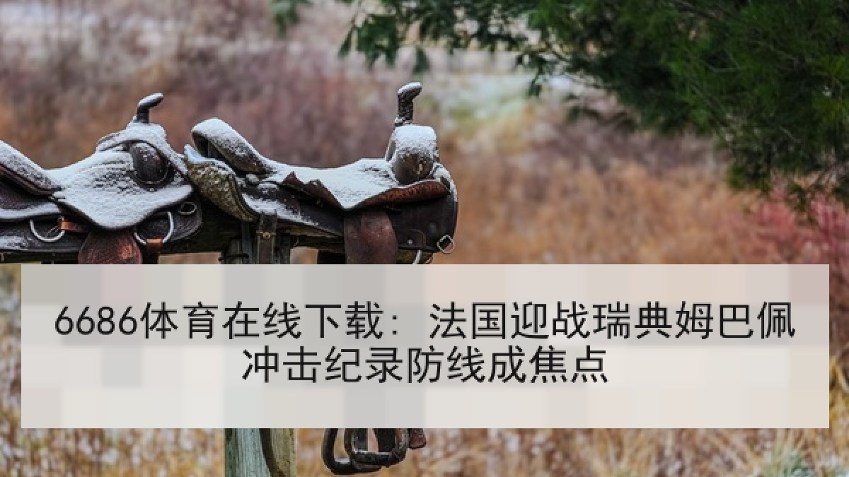 6686体育在线下载: 法国迎战瑞典姆巴佩冲击纪录防线成焦点