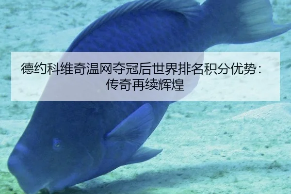 德约科维奇温网夺冠后世界排名积分优势：传奇再续辉煌